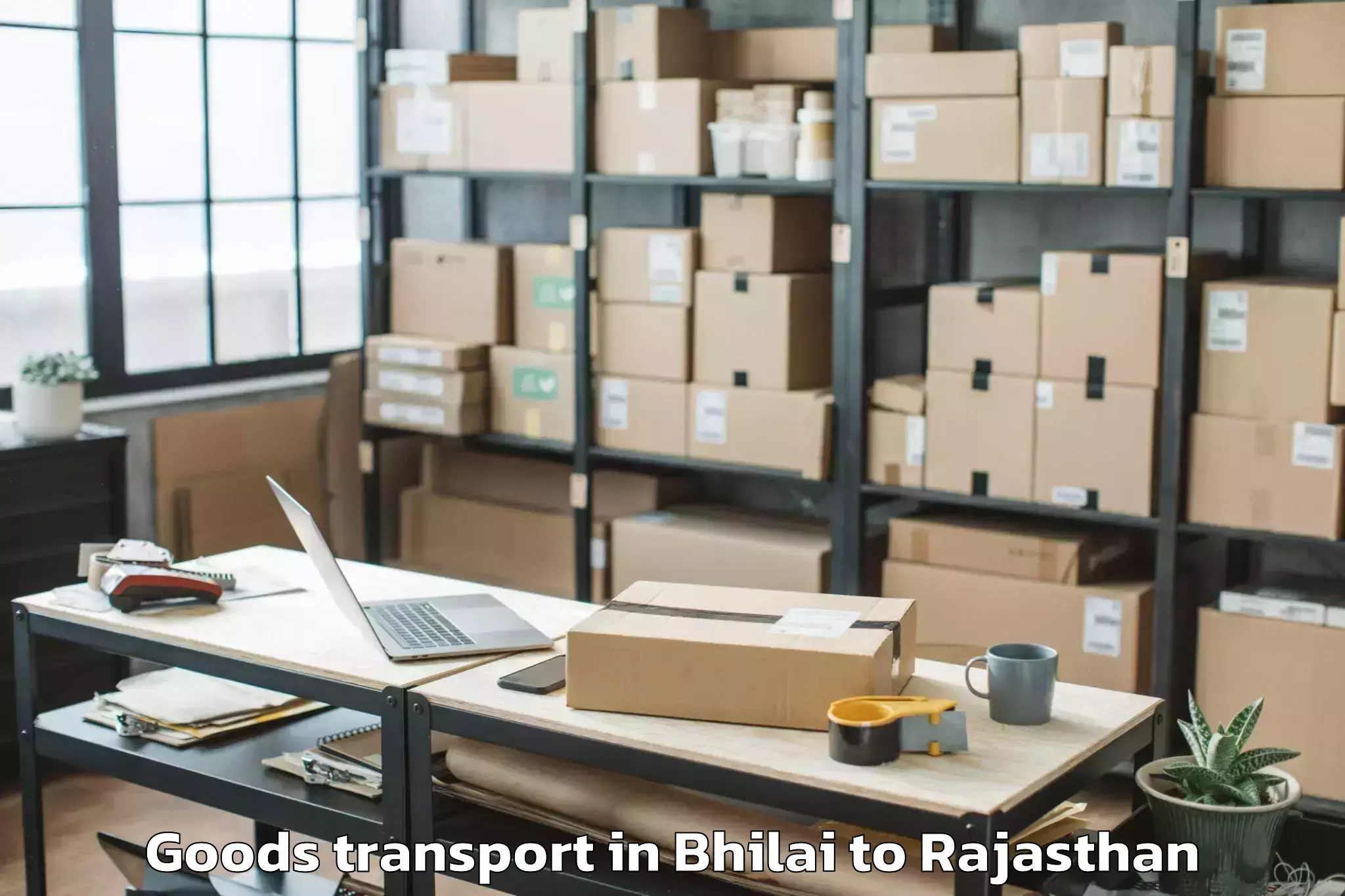 Expert Bhilai to Bhilwara Goods Transport